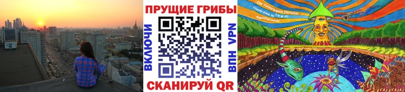 OMG как войти Майкоп Галлюциногенные грибы мухоморы